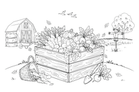 A wooden crate full of carrots, potatoes and beets – Autumn Harvest coloring page