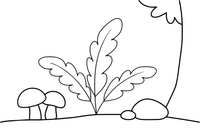 A big leafy fern growing on the forest floor – Forest Plant Wonders coloring page