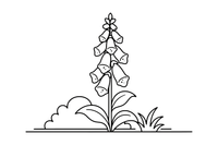 A foxglove with a tall spike of bell flowers – Popular Flowers coloring page
