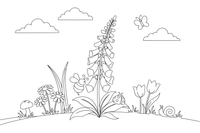 A foxglove with a tall spike of bell flowers – Popular Flowers coloring page