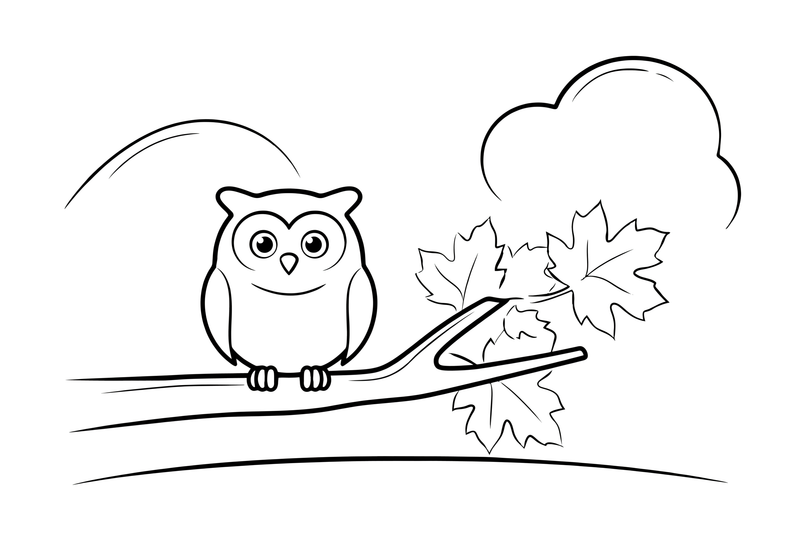 An owl on a branch among autumn leaves – Owl coloring page