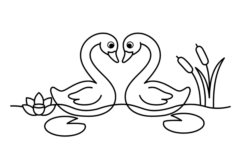 Two swans forming a heart with their necks – Elegant Swan Bird coloring page