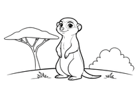 A meerkat standing up tall on the sand, looking around – Safari & Jungle Wild Animals coloring page