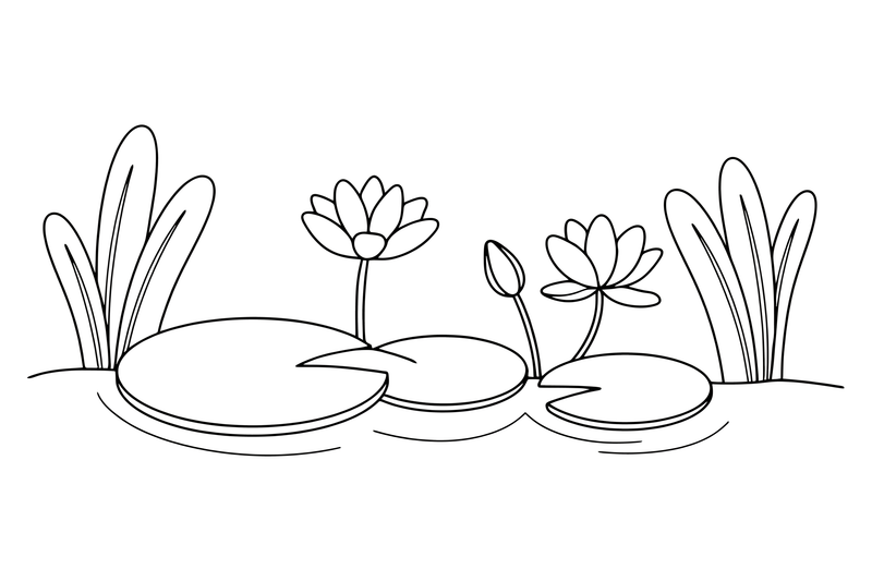 Several lily pads and flowers spread across the pond – Water Plants coloring page