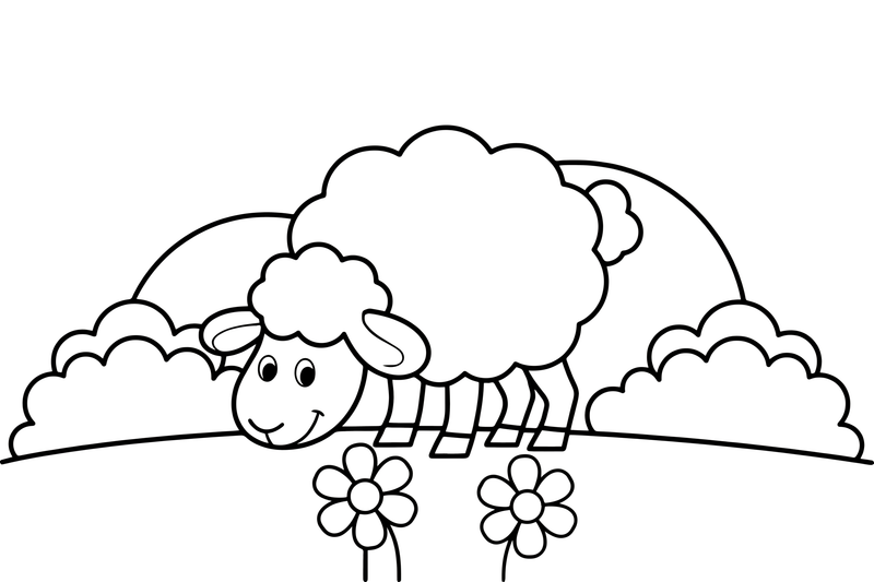A sheep grazing in a green meadow – Sheep coloring page