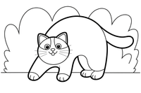 Ragdoll Cat arching its back – Ragdoll Cat at Play coloring page