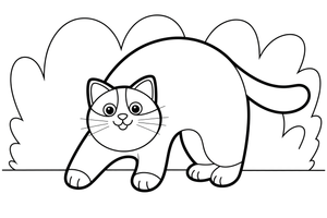 Ragdoll Cat arching its back – Ragdoll Cat at Play coloring page