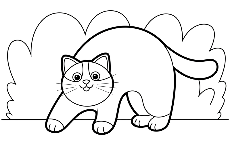 Ragdoll Cat arching its back – Ragdoll Cat at Play coloring page
