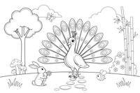 A peacock showing off its big fanned tail – Peacock Bird coloring page