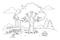 A big strong oak tree with a wide crown – Lithuanian Nature Plants coloring page