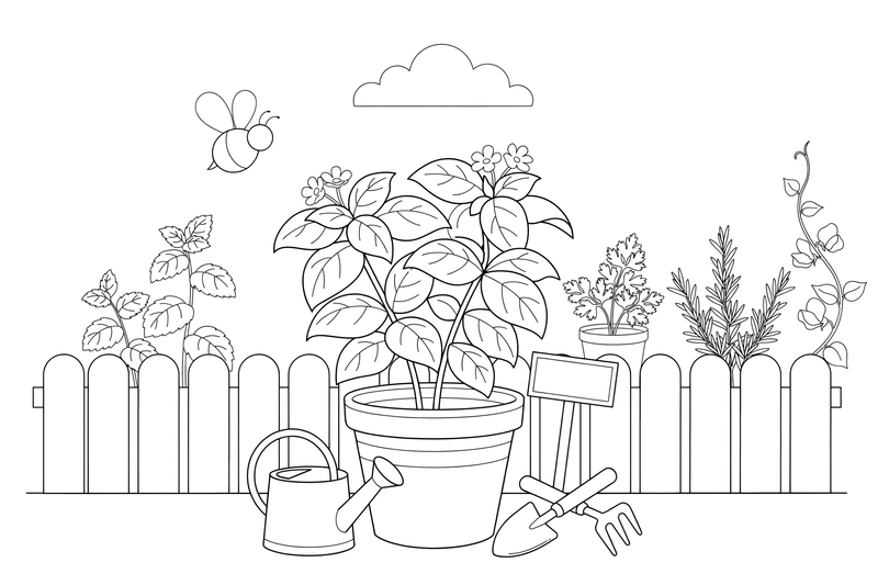 One big basil plant with broad leaves in a pot, close up – Fragrant Herb Garden coloring page
