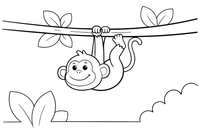 A monkey hanging from a tree branch – Monkey coloring page