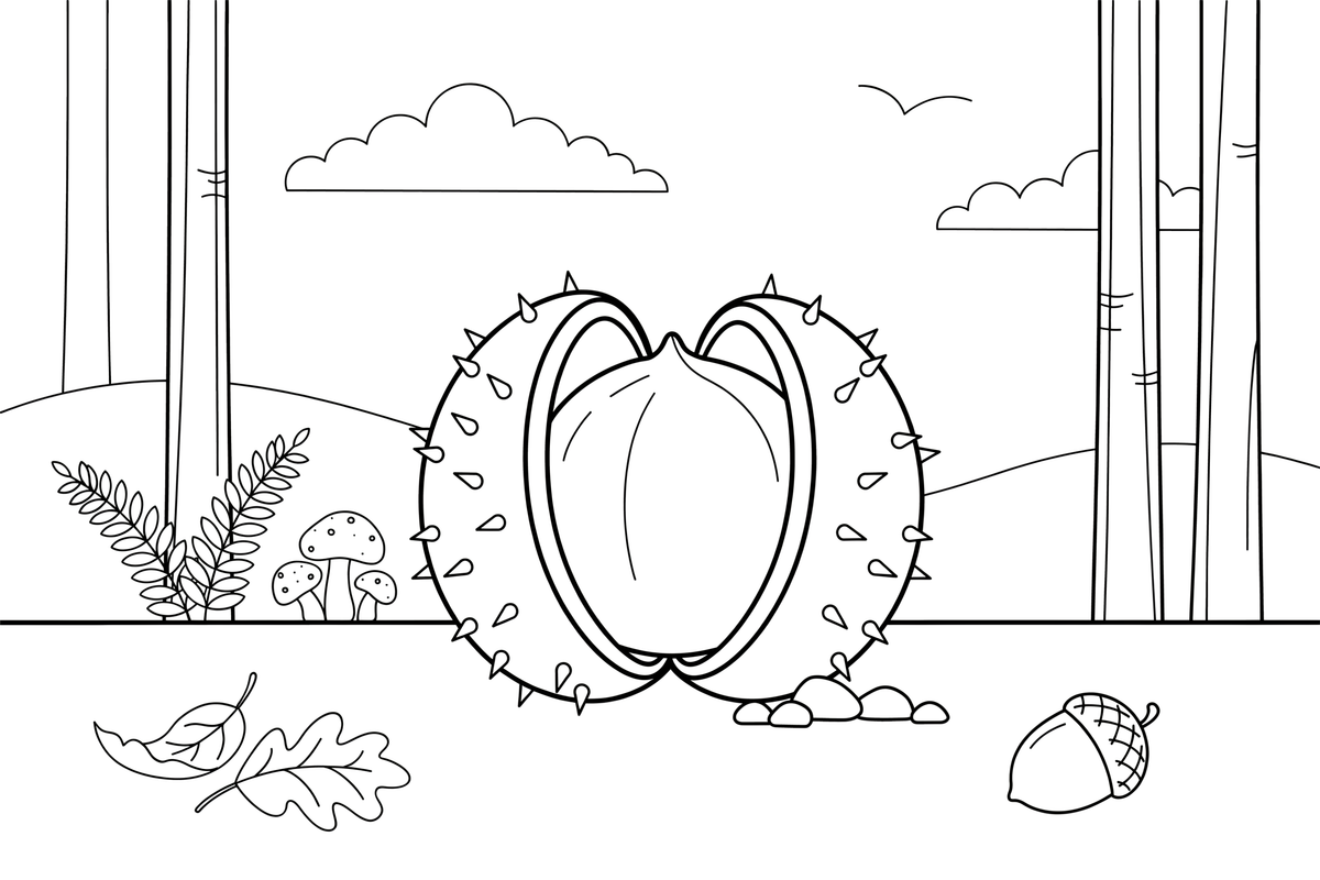 A shiny chestnut with its spiky shell open – Nature treasures coloring page