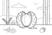 A shiny chestnut with its spiky shell open – Nature treasures coloring page