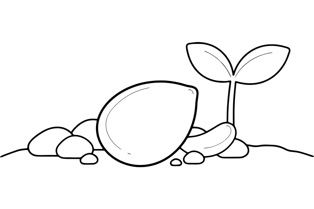 A single seed lying in the soil, close up – Complete Plant Life Cycle coloring page