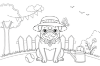 Pug with Hat – Playful Pug Dog coloring page