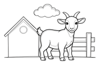 A goat standing in the farmyard – Goat coloring page