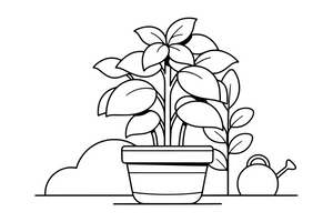 One big basil plant with broad leaves in a pot, close up – Fragrant Herb Garden coloring page