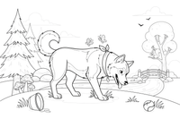 Husky drinking from a forest stream – Husky Dog Playtime coloring page