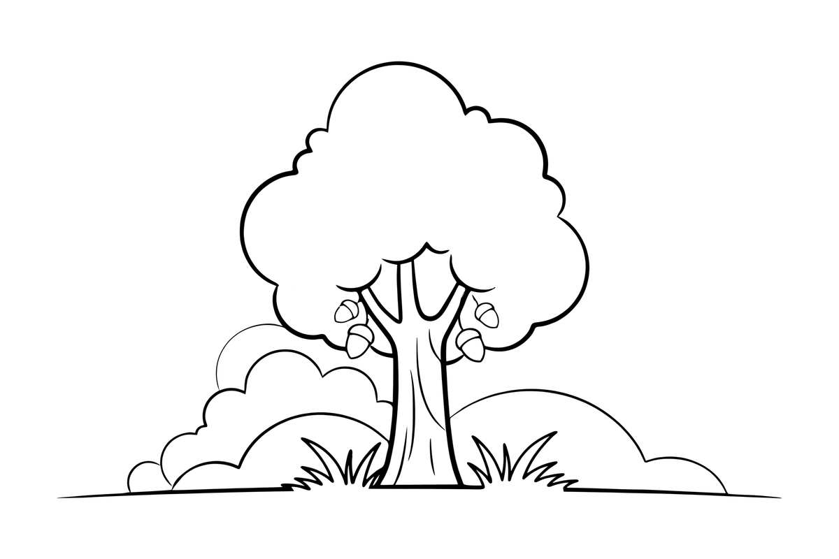 A tall oak tree with a wide leafy crown – Forest Plant Wonders coloring page