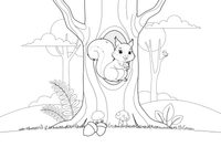 A squirrel curled up in a hole in a tree – Animal Homes coloring page