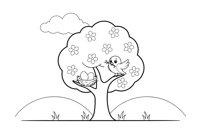 A tree full of blossoms with a bird building a nest – Four Seasons coloring page
