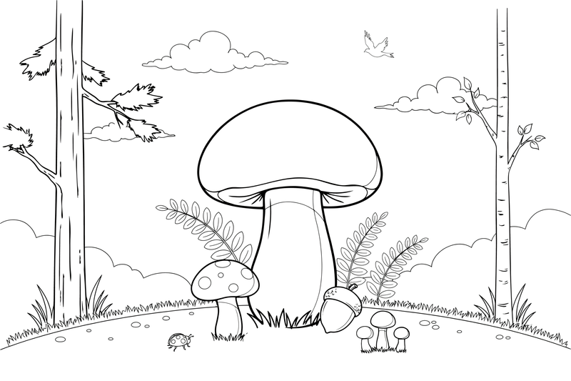 A porcini mushroom (cep) with a thick stem and a round cap – Mushrooms coloring page