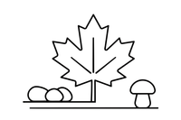 One big maple leaf with pointed tips, close up – Leaves coloring page