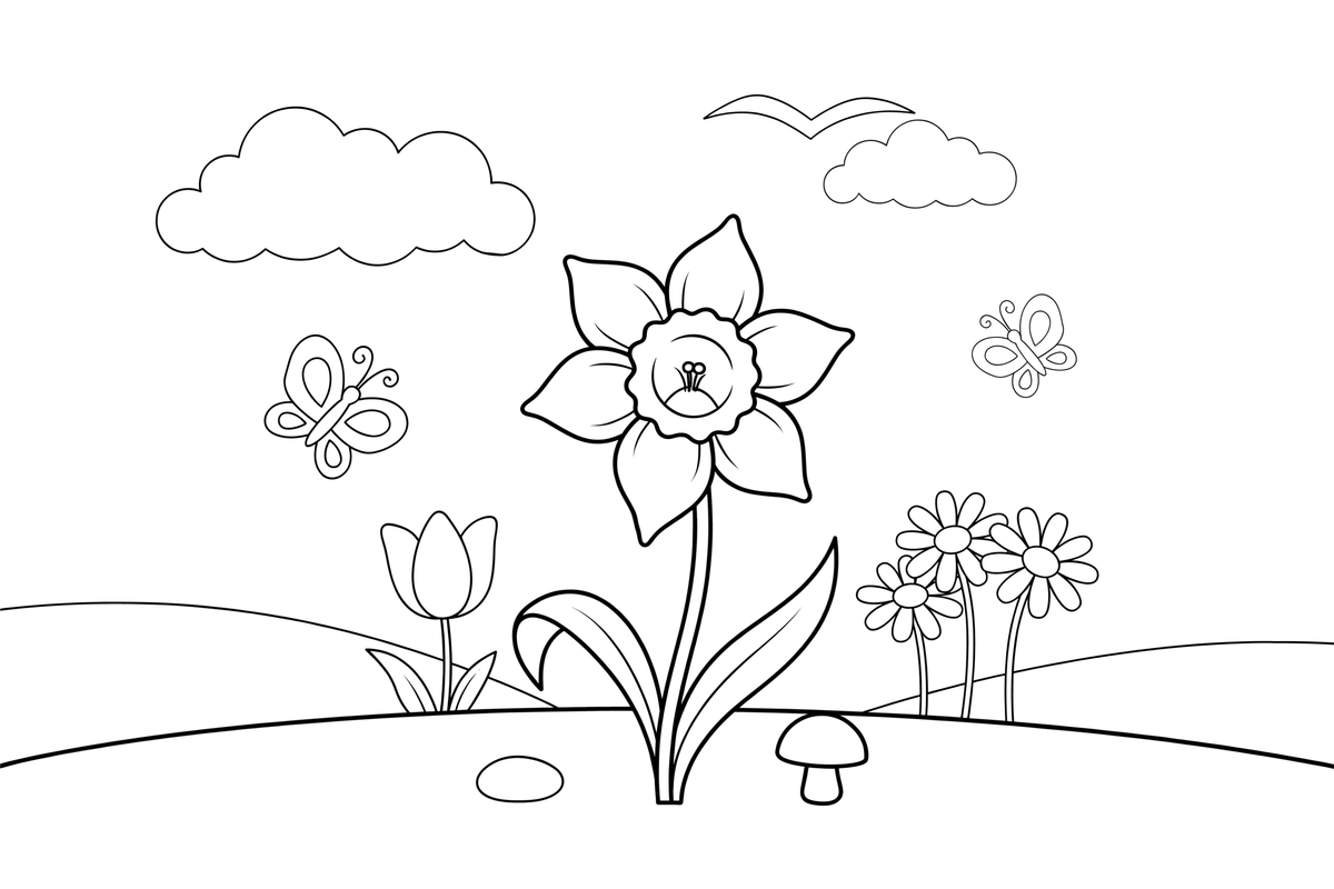 One big daffodil with a trumpet center – Spring Flower coloring page