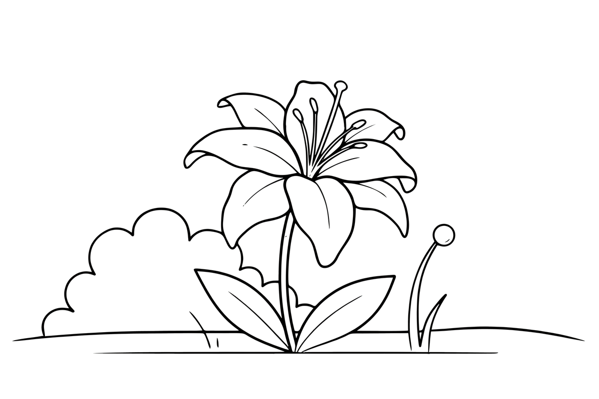 One big lily with pointed petals and long stamens – Popular Flowers coloring page