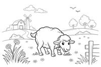 A sheep grazing in a green meadow – Sheep coloring page