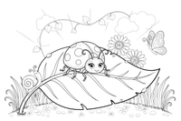 A ladybug sitting on a big leaf – Ladybug coloring page
