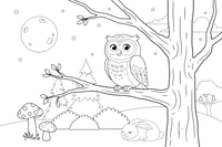 An owl sitting in a tree at night with the moon – Owl coloring page