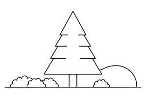A spruce tree shaped like a tall triangle – Forest Plant Wonders coloring page
