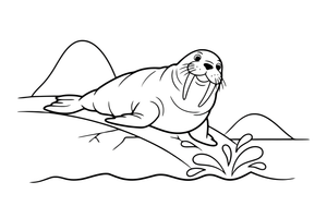 A walrus sliding into the water – Arctic Animals coloring page