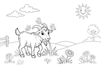 A goat grazing in a green meadow – Goat coloring page
