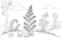 A sprig of rue with small rounded leaflets – Lithuanian Nature Plants coloring page
