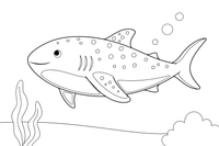 A whale shark with a big spotted body (spots outlined, no fill) swimming – Curious Shark coloring page