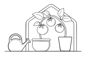 Tomatoes ripening on the vine in a greenhouse – Garden & Gardening coloring page