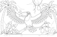 A toucan spreading its wings – Toucan coloring page