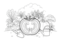 A tomato cut in half showing the seeds inside (seeds outlined, no fill) – Vegetables Coloring Pages Fresh Set coloring page