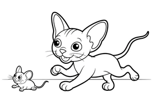 Sphynx chasing the mouse running quickly – Sphynx Cat in Motion coloring page