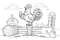 A rooster crowing at sunrise with its head up – Rooster Farm Animal coloring page