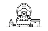 Poodle sitting in a fancy grooming salon – Poodle Dog Outdoor Fun coloring page
