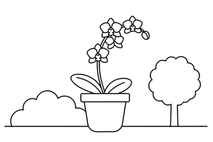 An orchid plant in a pot with several blooms on a stem – Popular Flowers coloring page