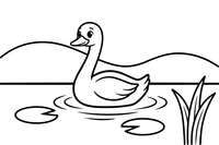 A swan gliding across a calm lake – Elegant Swan Bird coloring page
