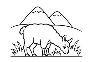 A llama grazing in a meadow – Llama coloring page