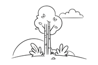 A slender birch tree with a white trunk – Trees coloring page