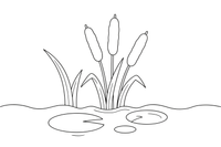 Cattails with fluffy tops by the water – Water Plants coloring page