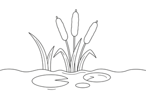 Cattails with fluffy tops by the water – Water Plants coloring page